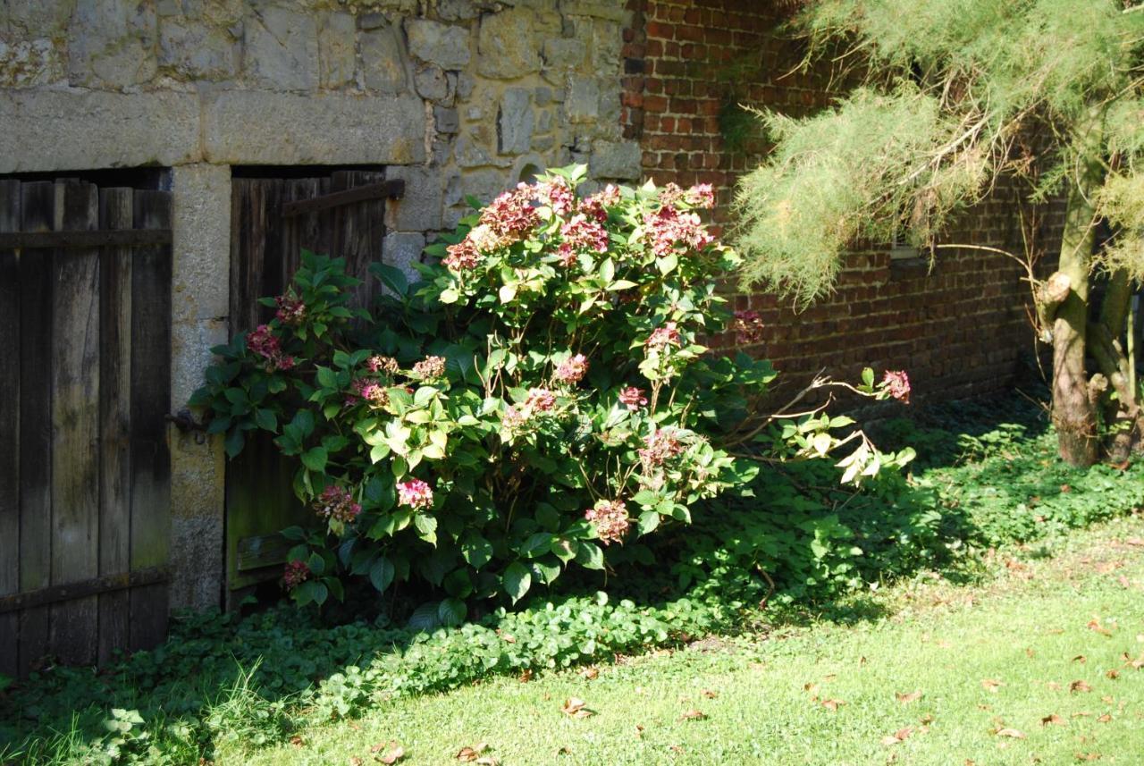 Gite La Grange D'Herbuchenne Dinant Buitenkant foto